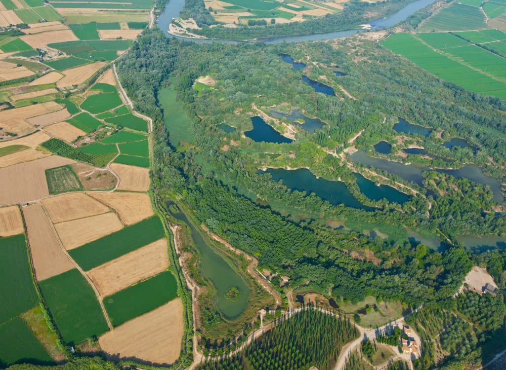 Galacho de Juslibol. Río Ebro