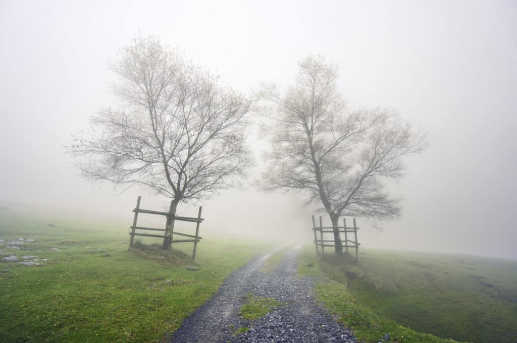 Niebla en el Gorbea