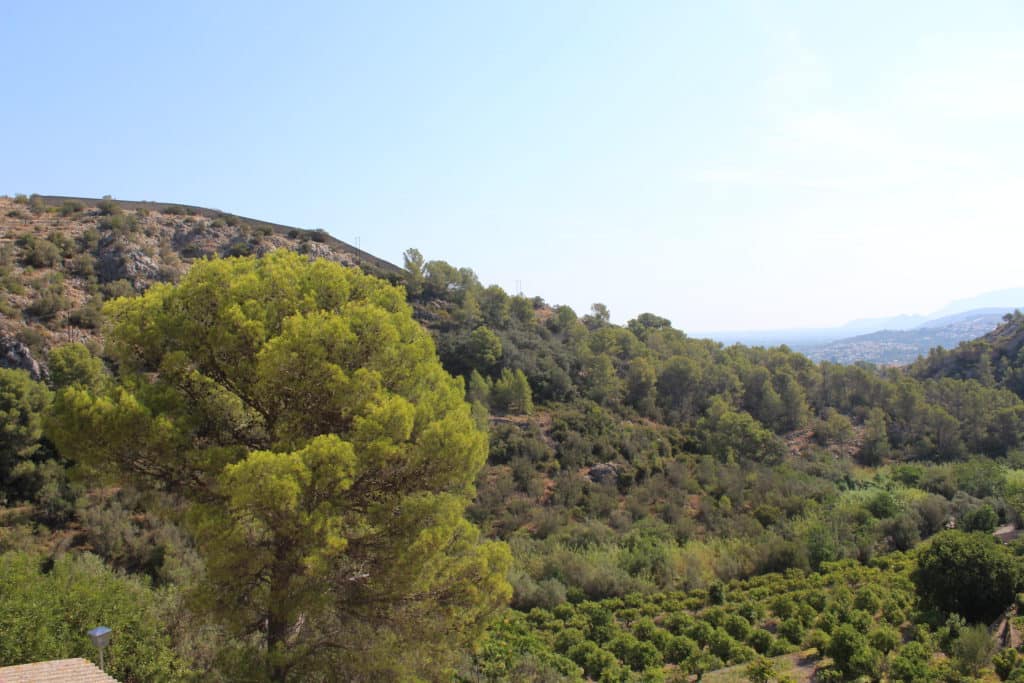 Fontilles, en Vall de Laguar