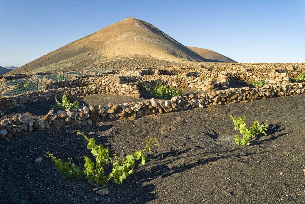 La Geria, Islas Canarias