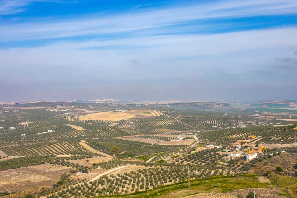 Campos de Córdoba en Montilla, uno de los lugares de la batalla