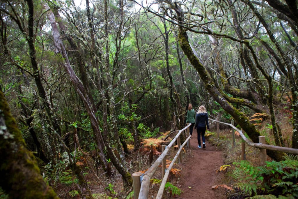 Trekking en La Gomera