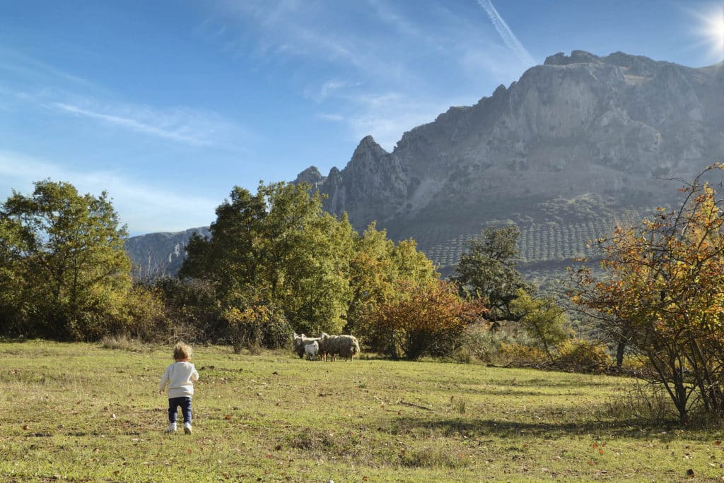 Parque Natural Sierra Subbética