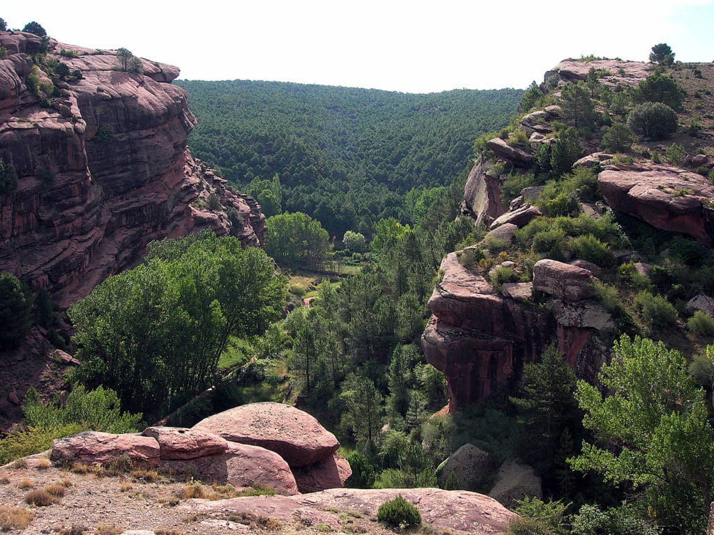 Pinares del Rodeno