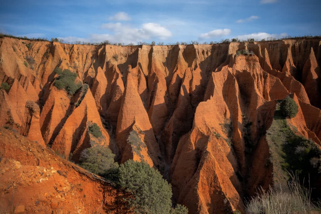 Cárcavas de Pontón de la Oliva