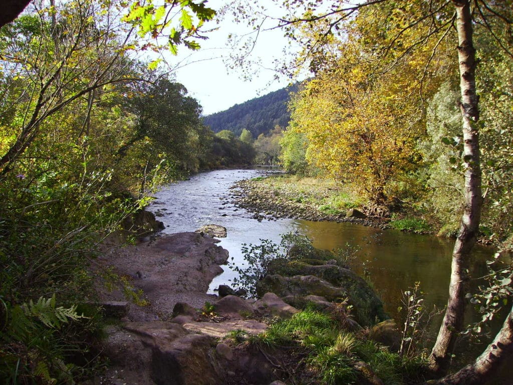 Rutas de senderismo por Cantabria: Río Besaya