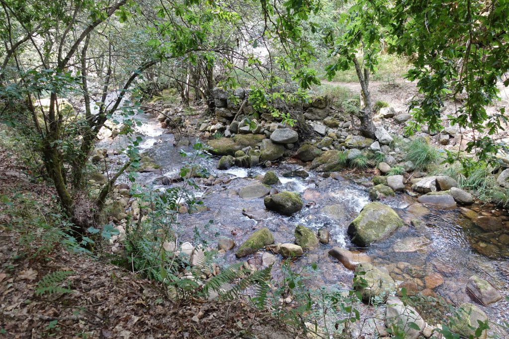 Rio Trancoso