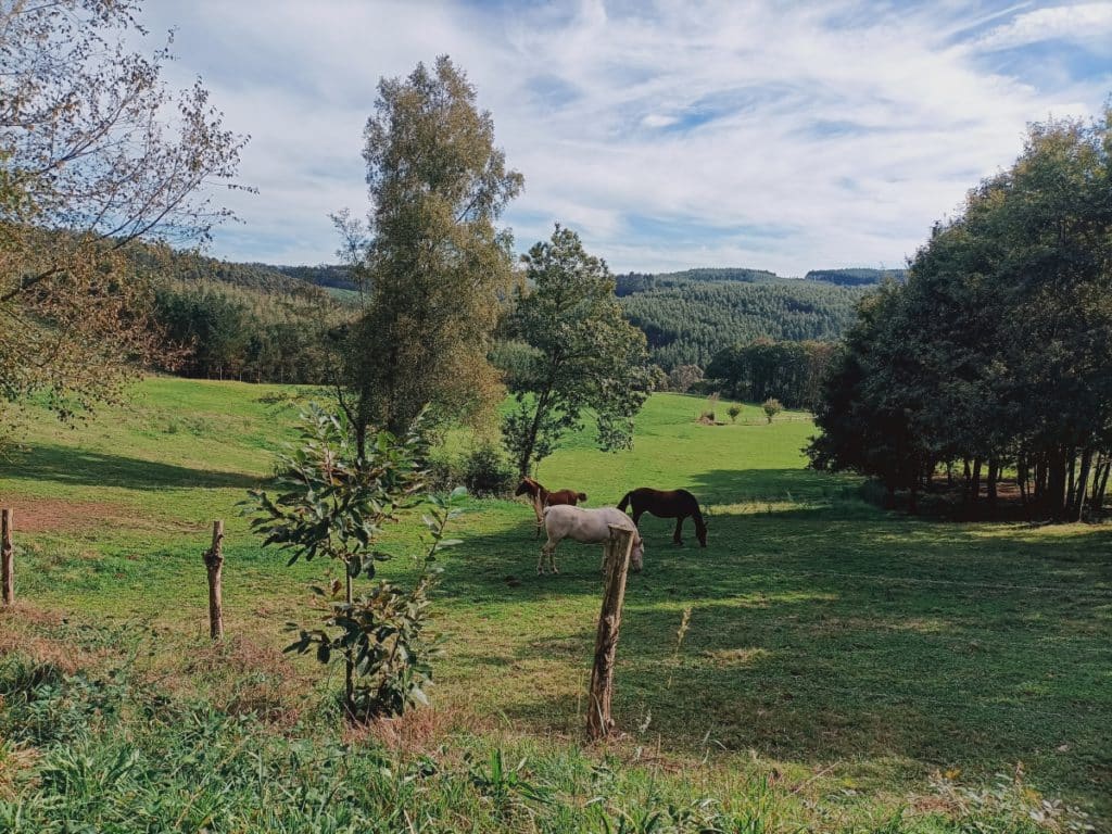 Ruta dos Muiños do río das Gándaras