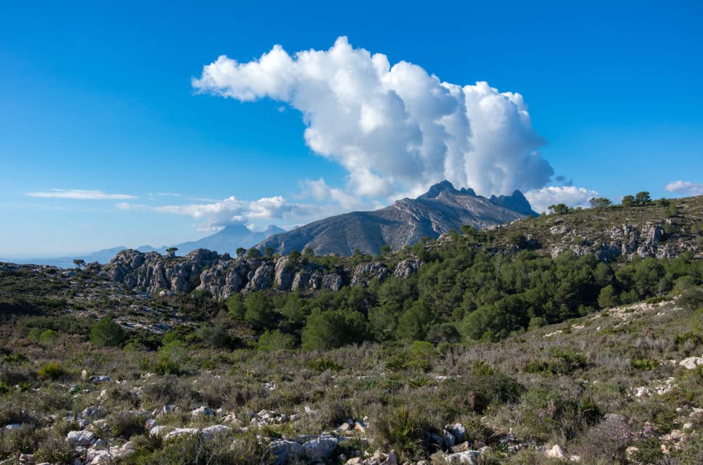 Serra de Bèrnia i Ferrer