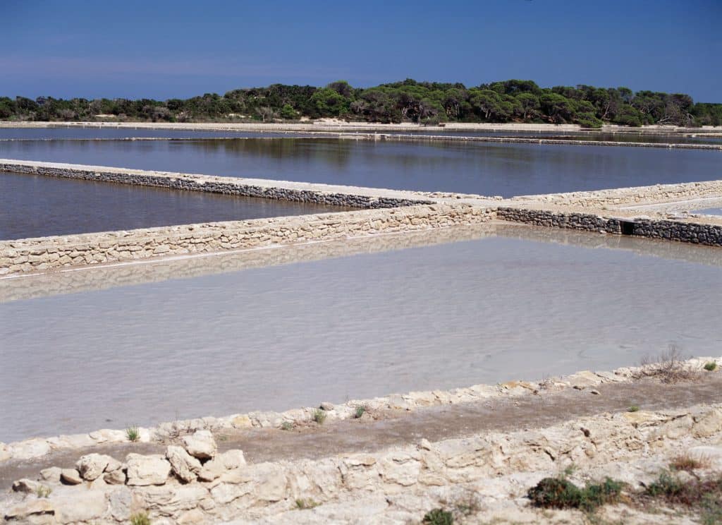 Ses Salines