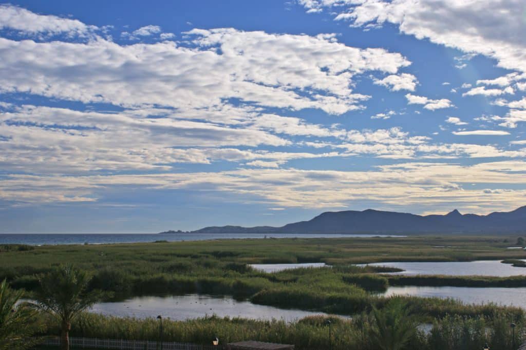 Parque Natural del Prat de Cabanes-Torreblanca