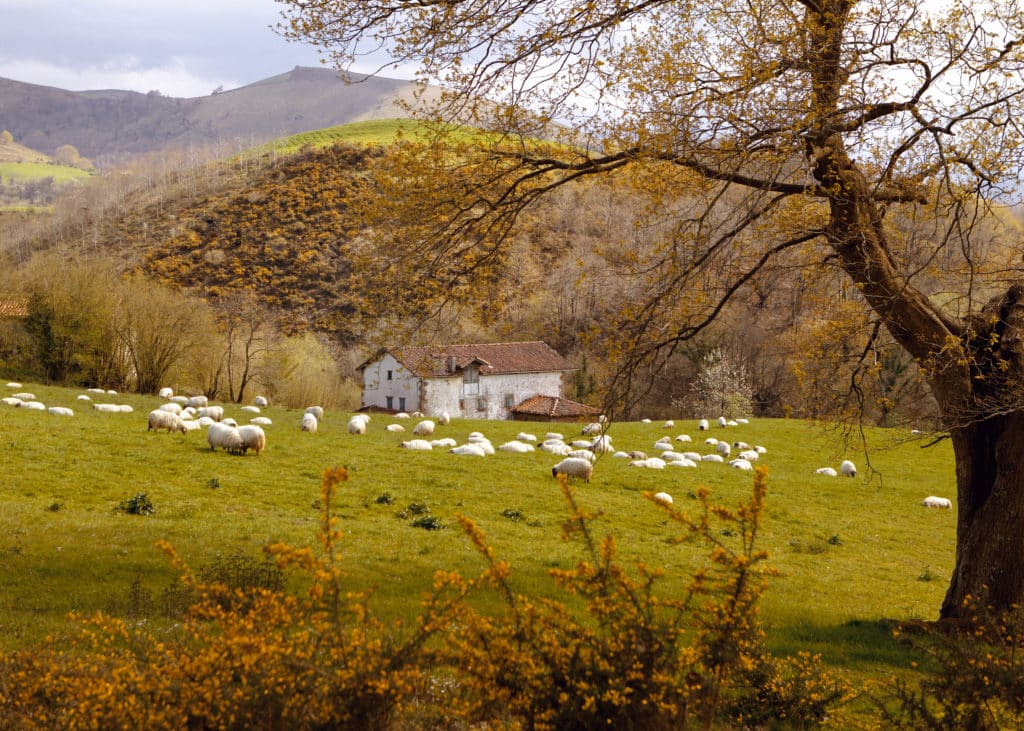 Destinos de España: Valle de Baztan