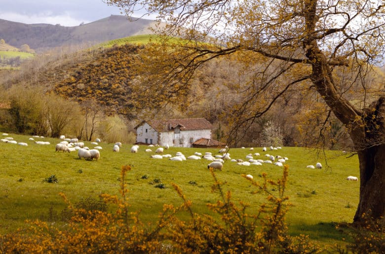 Destinos de España: Valle de Baztan