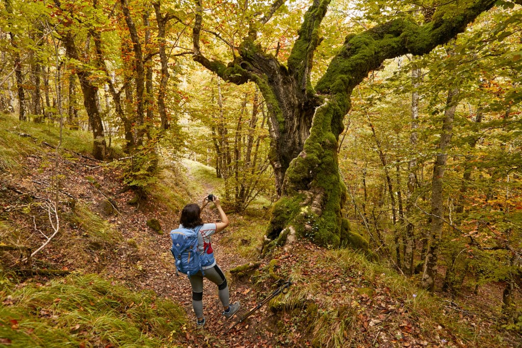 Pirineo navarro, ruta de Gartxot