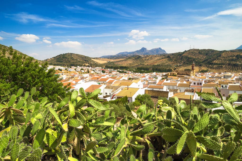 Algodonales, Andalucía