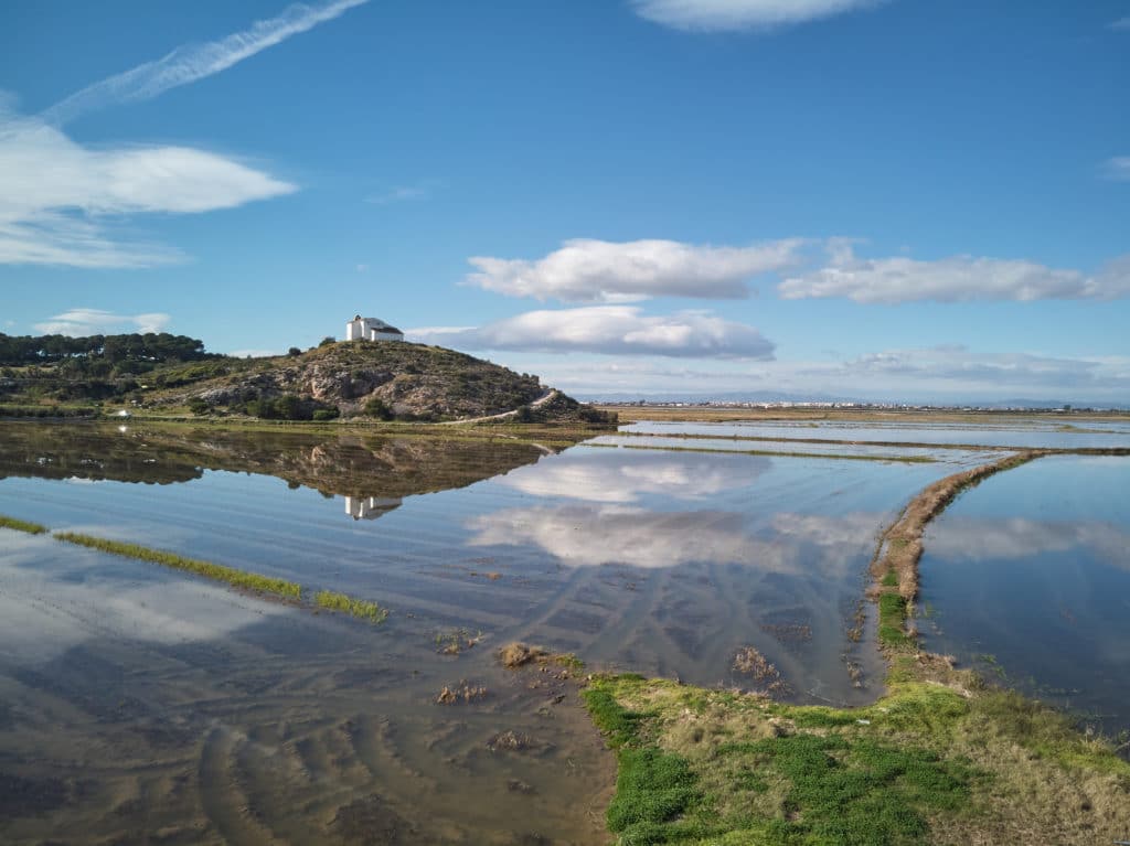 Arrozales en Cullera