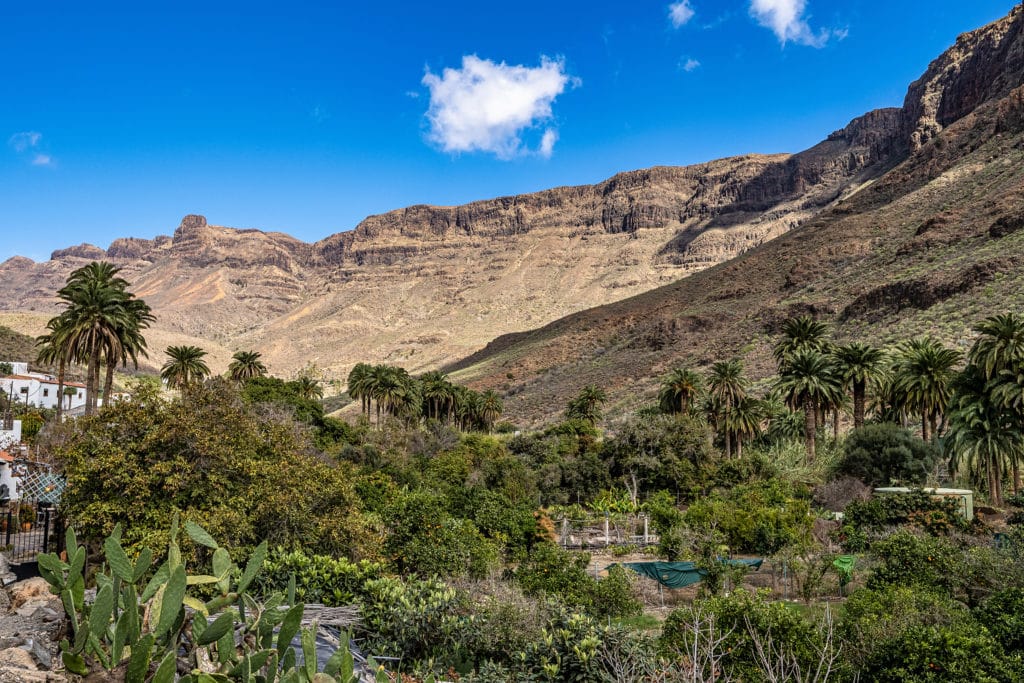 Arteara, una de las etapas del Camino de Santiago en Gran Canaria 