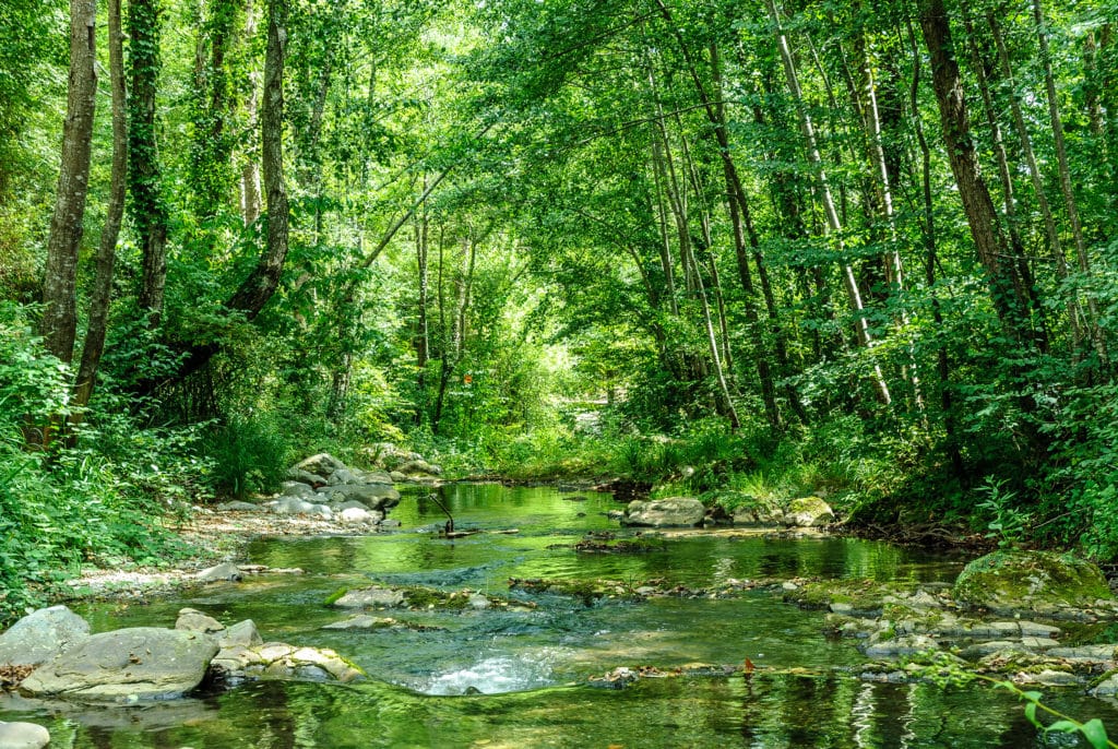 Río Llierca a su paso por Beget