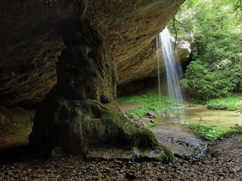 Salt del Bisbe