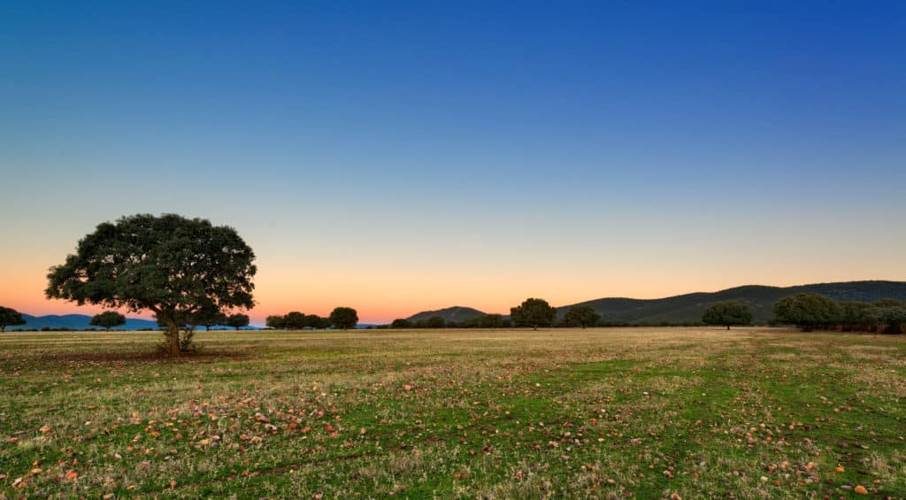 Parque Nacional de Cabañeros en Castilla-La Mancha