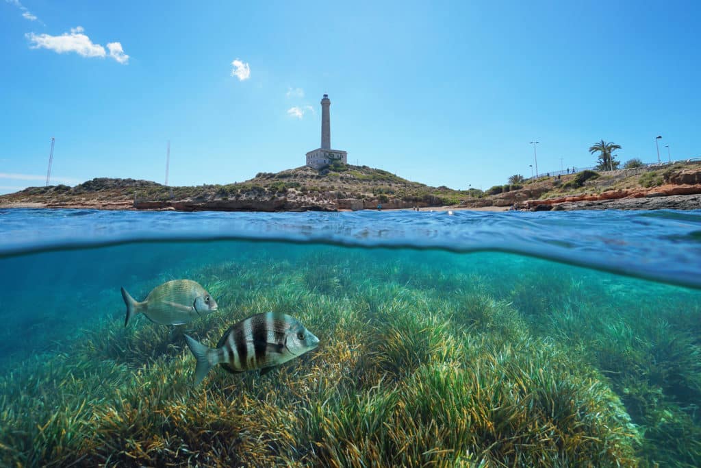 Cabo de Palos, donde está uno de los pecios hundidos: el SS Stanfield