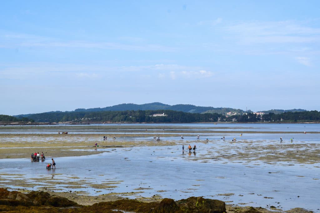 Mariscadoras de Cambados