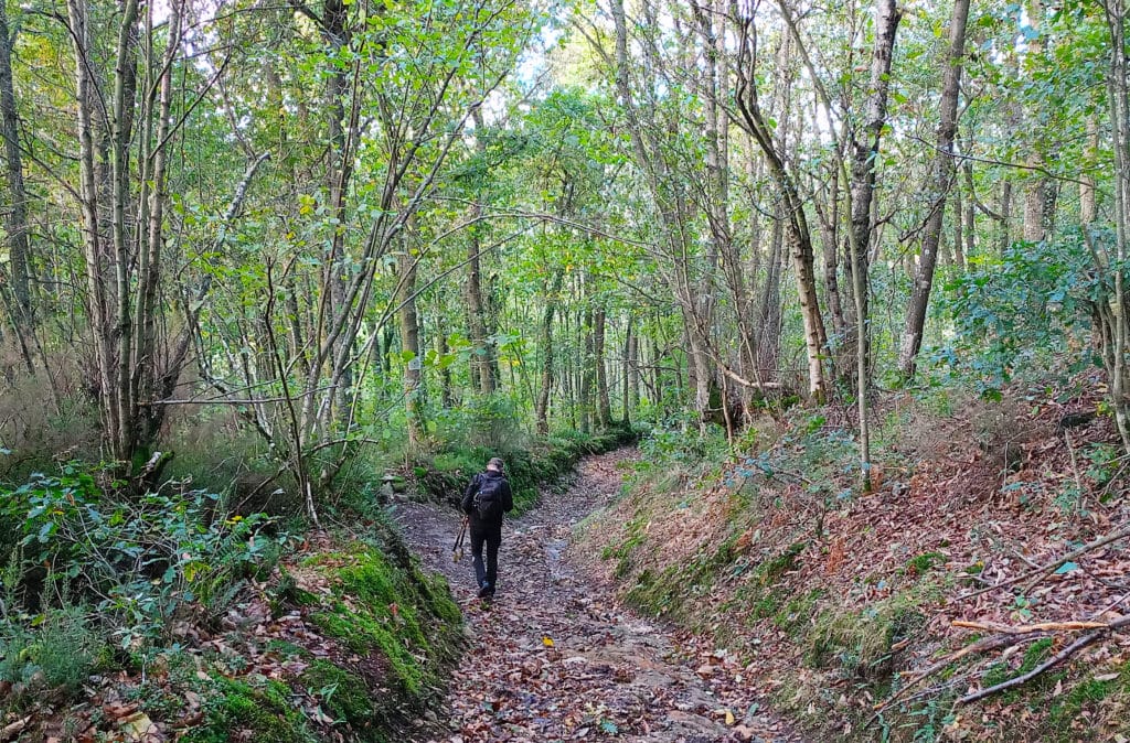 Camino de Santiago primitivo