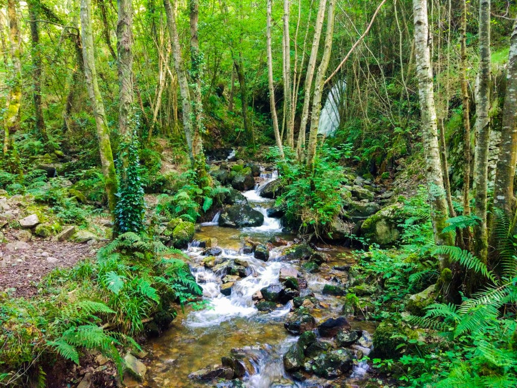 Ruta a la cascada de Nonaya