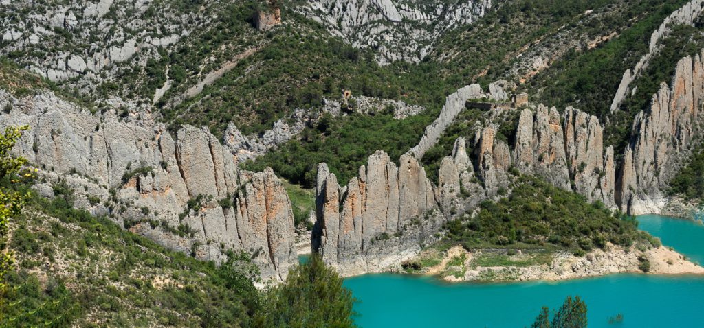 Día Mundial de la Naturaleza: Finestres