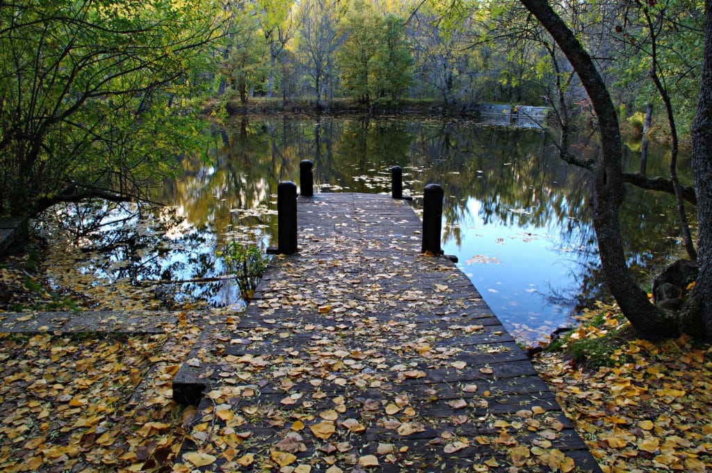 Bosque finlandés, Lozoya Valley, Madrid, Spain