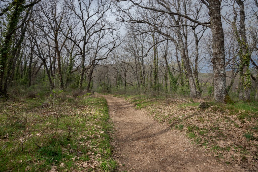 Bosque de la Herrería, en Madrid