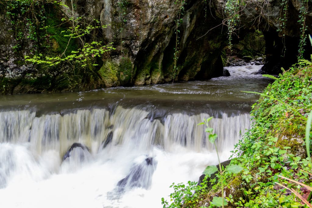 Fuente del francés