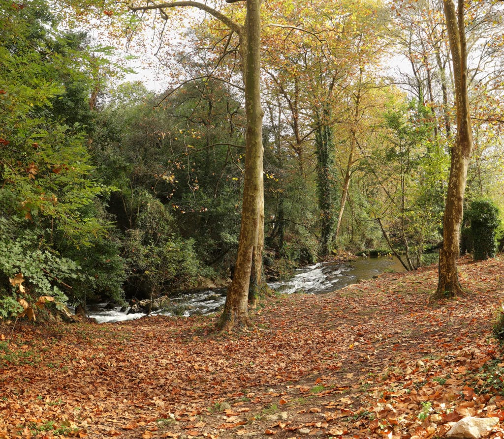 Fuente del Francés, río Aguanaz, Hoznayo