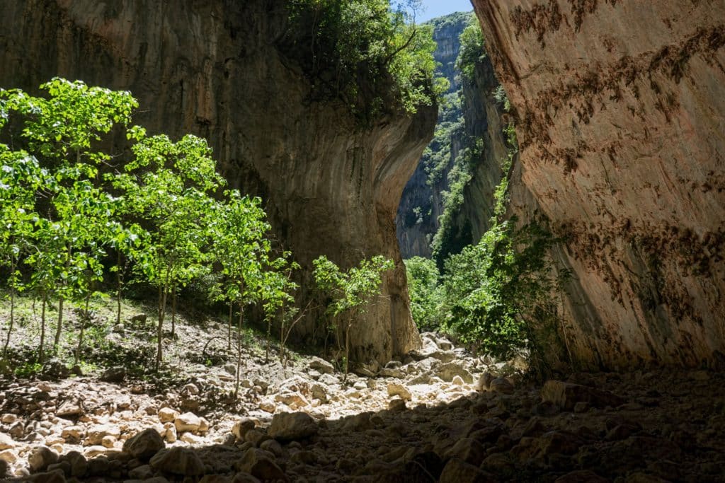 Rutas por la sierra de Grazalema: Garganta Verde