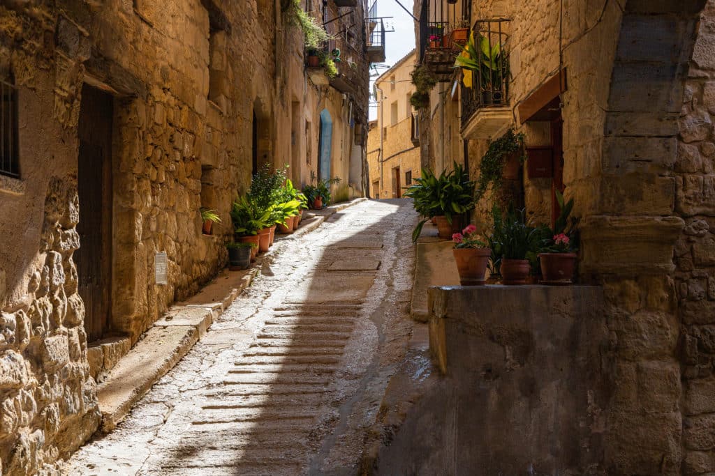 Horta de Sant Joan