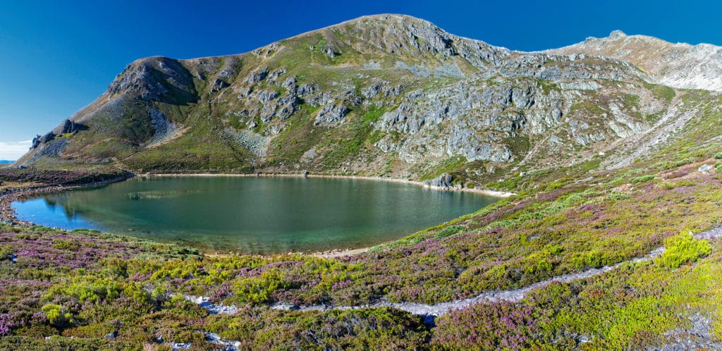 Lago Ausente