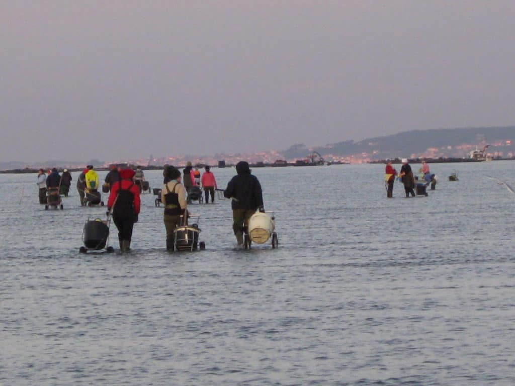 Mariscadoras de Cambados