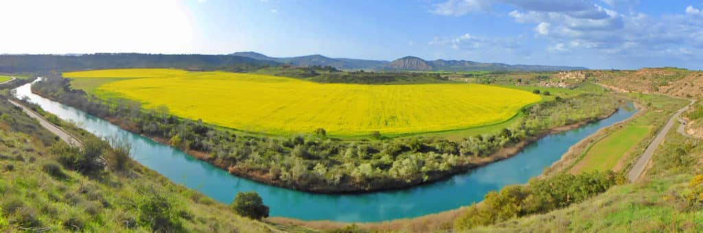 Meandro del Tajo junto a Zorita de los Canes y Recópolis