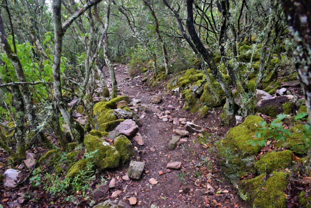 Rutas por el Parque Nacional de Cabañeros. Por Anna