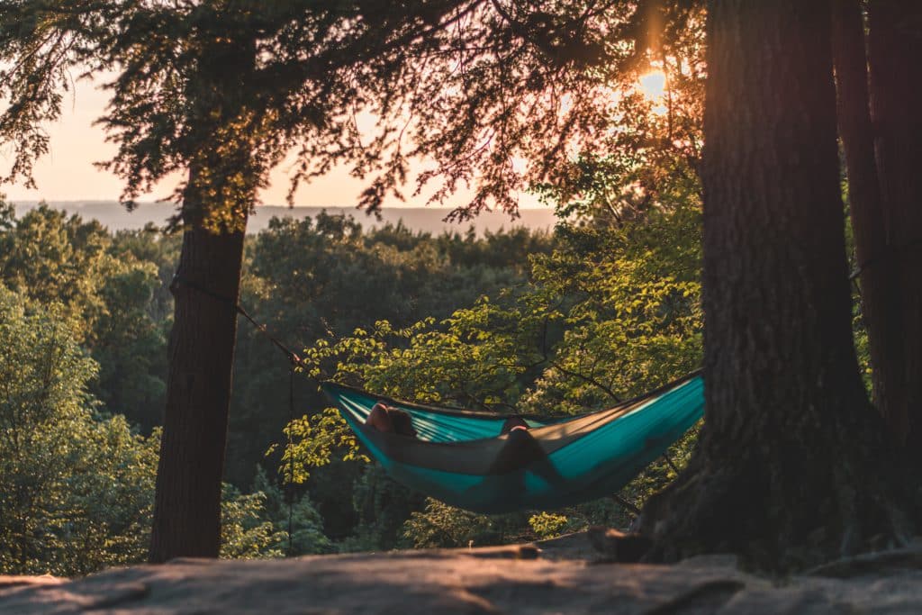 Hora de la siesta