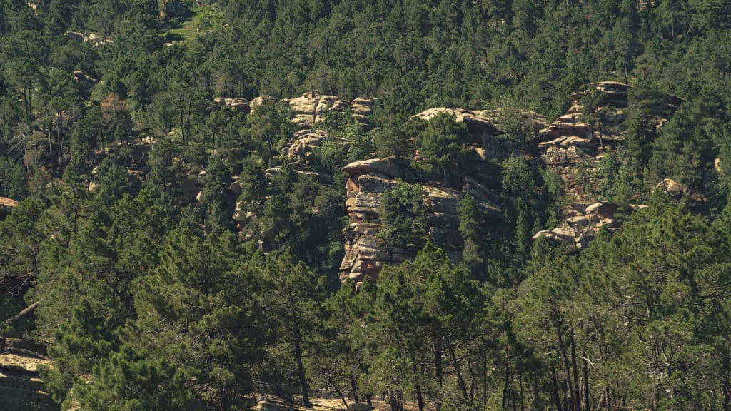 pinares de rodeno