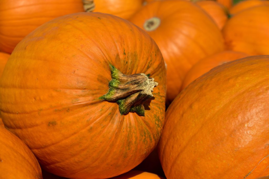 Calabaza de Todos os Santos