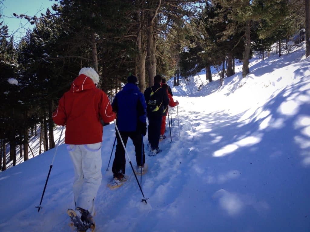 Raquetas de nieve