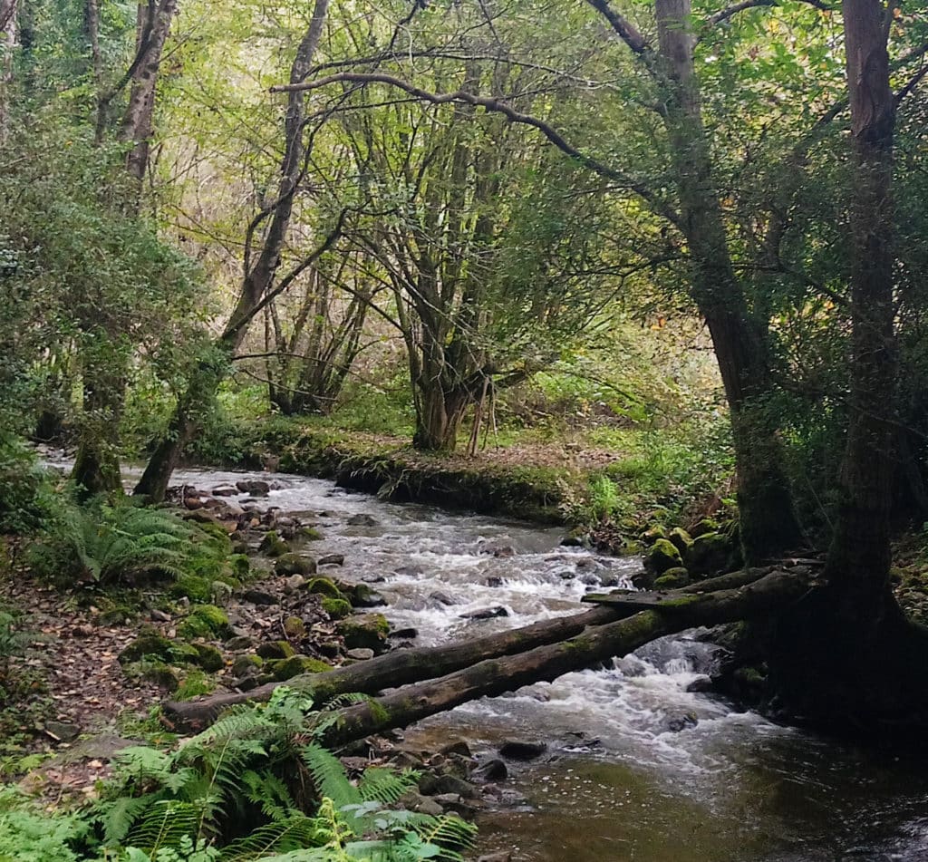 Ruta a la cascada de Nonaya en el Camino primitivo