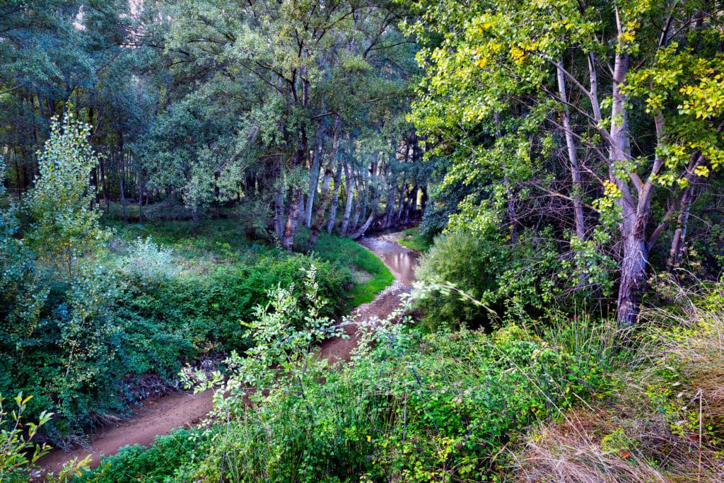 Río Alhama