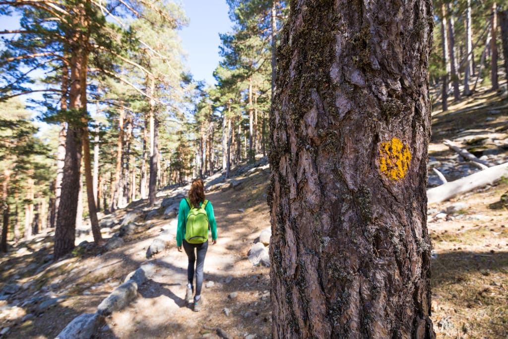 Rutas de senderismo por Navacerrada