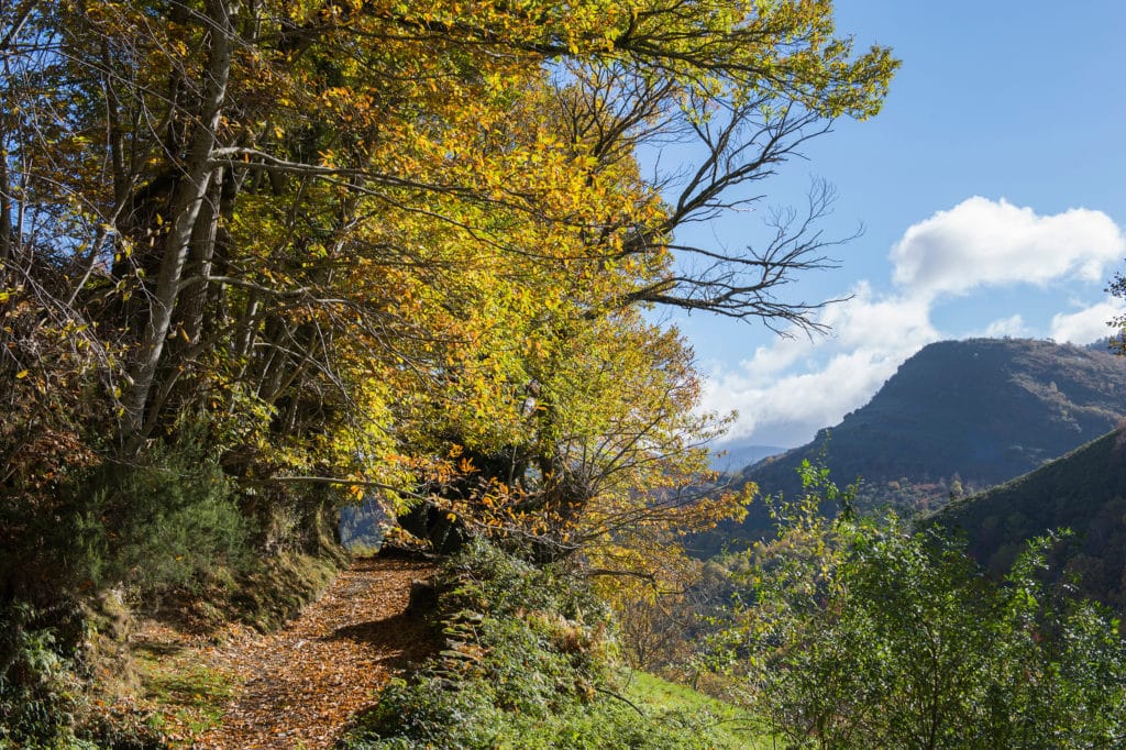 Sendero de O Courel
