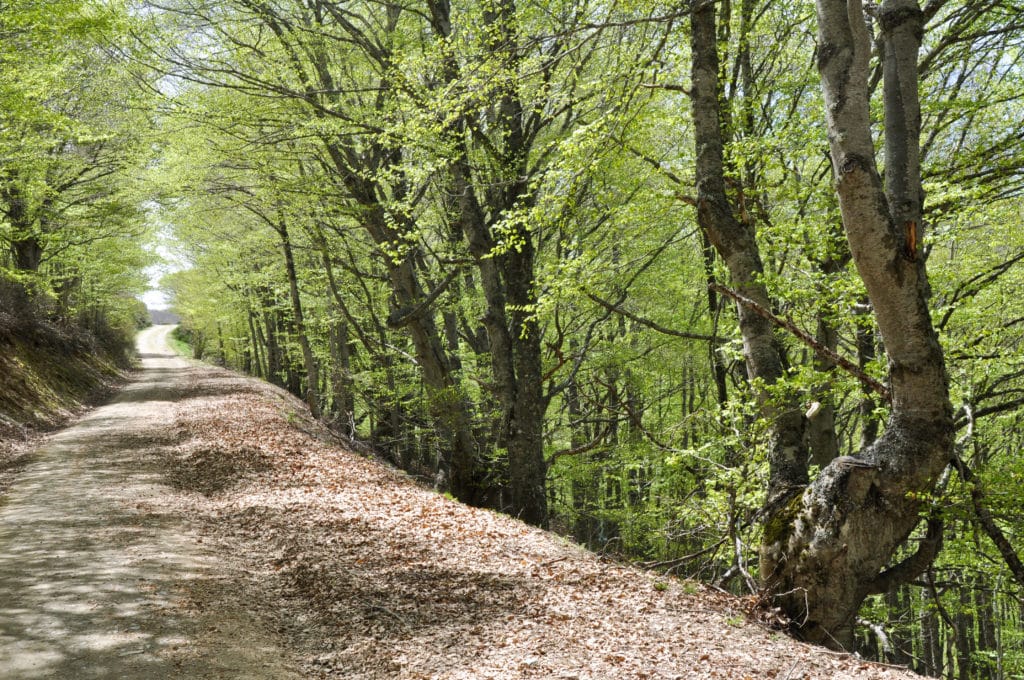 Senderismo por la Sierra de la Demanda