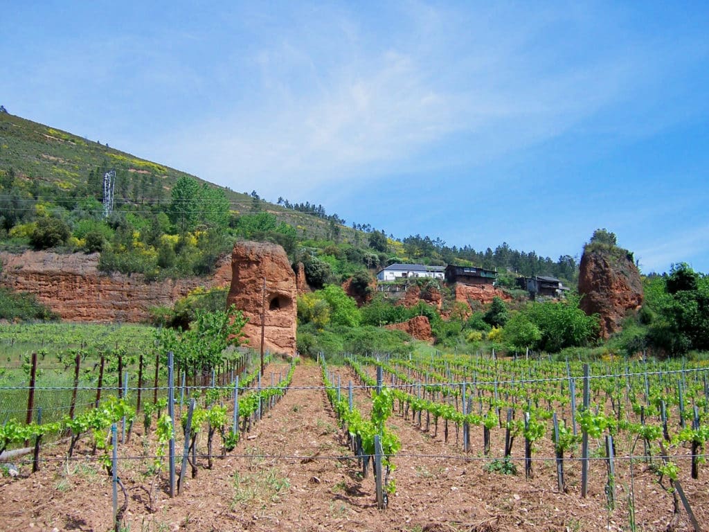 Viñedos de Montefurado