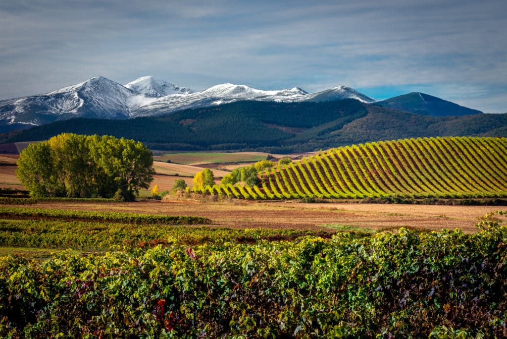 Montañas de San Lorenzo, La Rioja. Por Noradoa